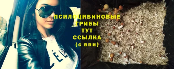 МДПВ Няндома