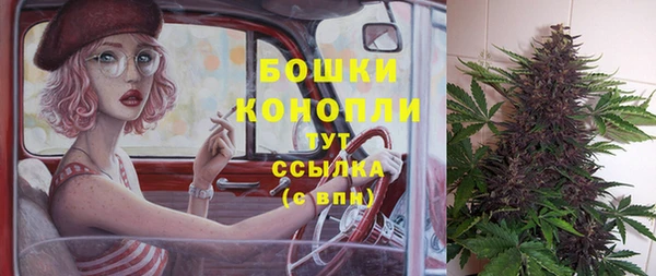 круглые Новозыбков