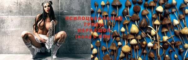 мет Новодвинск