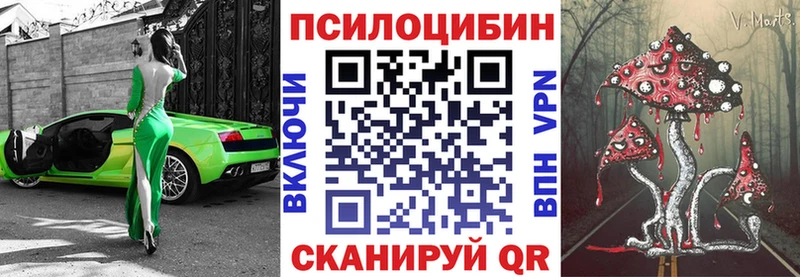 Псилоцибиновые грибы прущие грибы  Пудож 